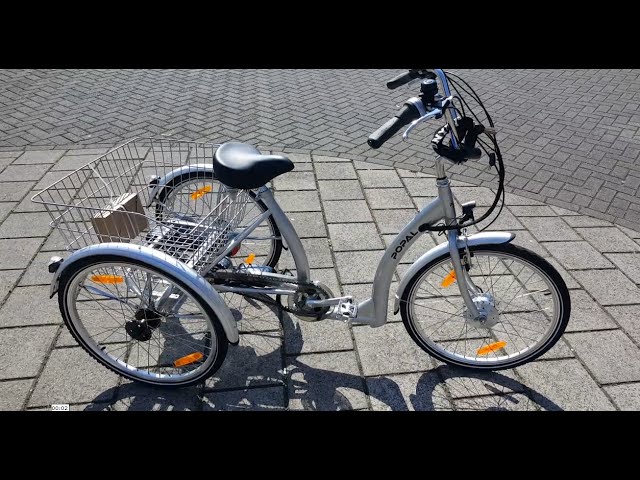 Popal Elektrische Driewieler Fiets Inch Grijs Online Kopen