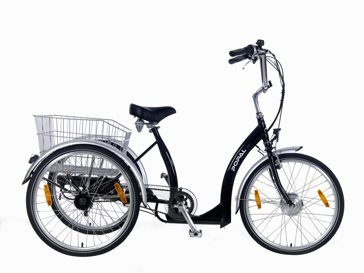 Popal Elektrische Driewieler Fiets Inch Grijs Online Kopen