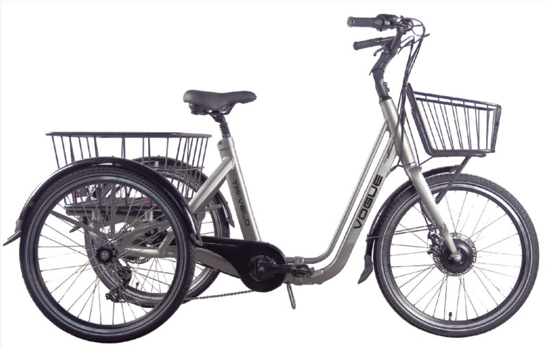 Pijl roze Isoleren Popal Elektrische Driewieler fiets 24 inch Zwart Online Kopen?